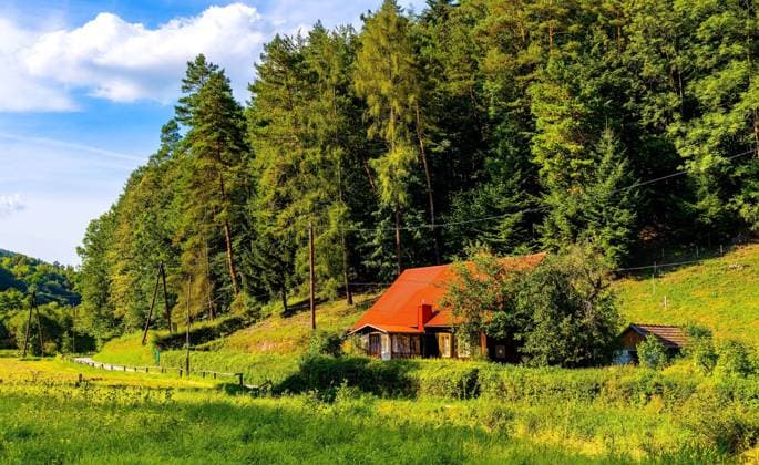 Ojcow, Poland - August 24, 2020: Panoramic view of Pradnik creek valley with traditional wooden households in limestone hills landscape of Cracow-Czestochowa upland in Lesser Poland  BEW1DDC3F34