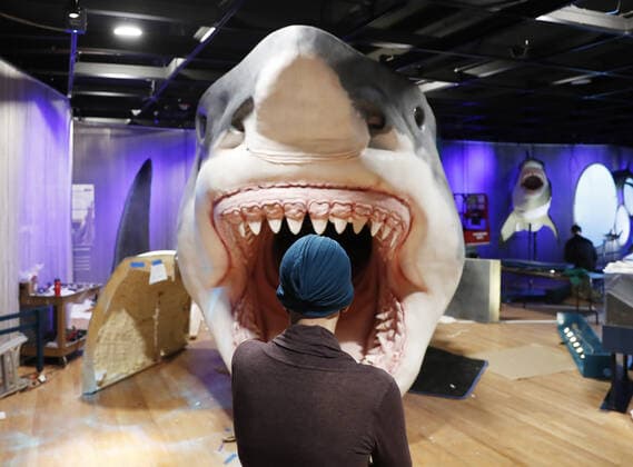 A museum employee watches as workers from the American Museum of Natural History Exhibition craft and assemble a massive, 27-foot-long, 10-foot-tall model of the ancient shark megalodon as part of the American Museum of Natural History s new exhibition Sharks opening December 15 in New York City on Tuesday, November 30, 2021.  NYP20211130110 JohnxAngelillo