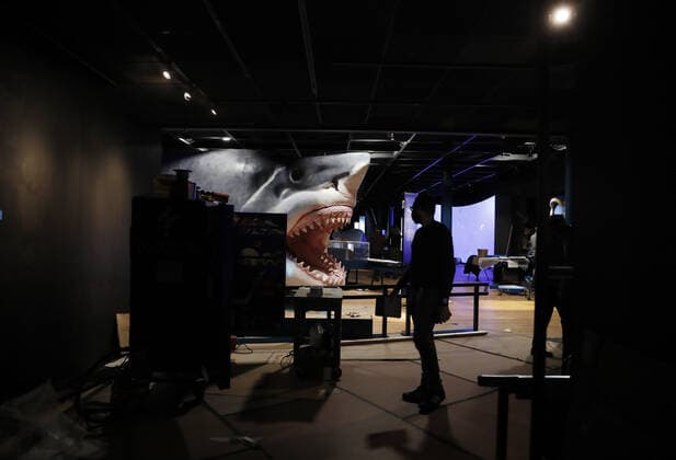 Workers from the American Museum of Natural History Exhibition craft and assemble a massive, 27-foot-long, 10-foot-tall model of the ancient shark megalodon as part of the American Museum of Natural History s new exhibition Sharks opening December 15 in New York City on Tuesday, November 30, 2021.  NYP20211130111 JohnxAngelillo