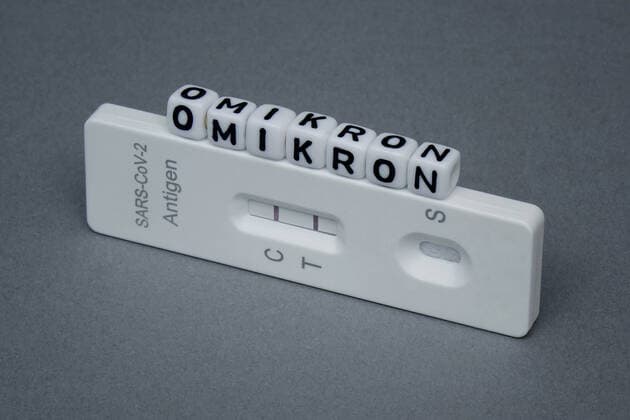 Testkit und Omikron Testkit und Omikron, 30.11.2021, Borkwalde, Brandenburg, Auf einem Testkit liegen Buchstabenwürfel mit dem Schriftzug Omikron.