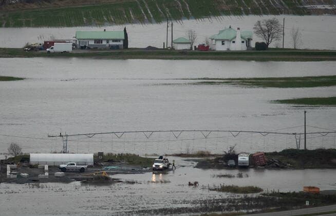 December 1, 2021, ABBOTSFORD, BC, CANADA: A person stands outside a truck at a greenhouse supply store and nursery surrounded by flooded farmland in Abbotsford, B.C., on Wednesday, December 1, 2021. ABBOTSFORD CANADA  - ZUMAc35_ 20211201_zaf_c35_108 Copyright: xDarrylxDyckx