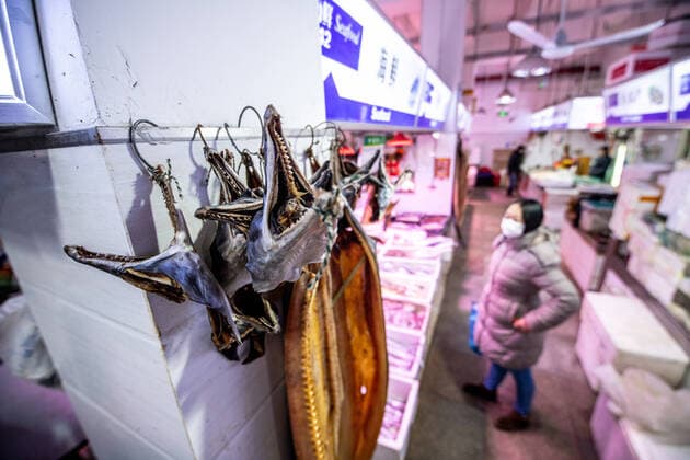 Shanghai, China, 26th Jan 2020, Skulls of moray eel hang on display in seafood market Shanghai China Copyright: xEdwinxRemsbergx xVWPicsx remsberg_20012711197