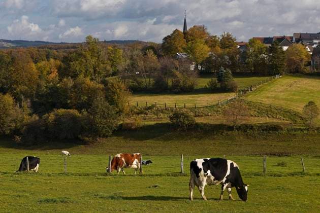  Kühe auf der Weide mit Blick auf Hülscheid, Schalksmühle, Sauerland, Nordrhein-Westfalen, Deutschland, Europa *** Cows on the pasture with view to Hülscheid, Schalksmühle, Sauerland, North Rhine-Westphalia, Germany, Europe Copyright: imageBROKER/StefanxZiese iblszi07182246.jpg