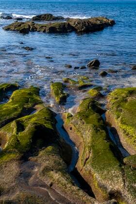 Creative Highlights World Mit Algen bewachsene Steine bei Niedrigwasserstand, Detailaufnahme, Playa del Confital, Gran Canaria, Kanarische Inseln, Spanien, Europa *** Stones overgrown with algae at low water level, close-up, Playa del Confital, Gran Canaria, Canary Islands, Spain, Europe Copyright: imageBROKER/SonjaxJordan ibxjor07183489.jpg