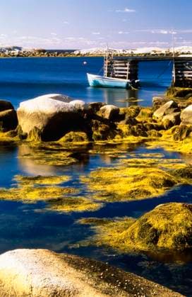 Boat At West Dover, Nova Scotia, Canada Copyright: Bilderbuch 1823169