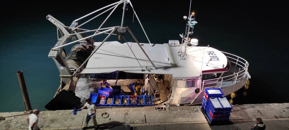 IMAGO Creative, Unsere Erde, Umweltverträgliche Herausforderungen des 21. Jahrhunderts, Überfischung Fang eines Fischerbootes wir im Hafen ausgeladen, Frankreich, Bretagne, Département Côtes-d’Armor , Erquy catch of a fishing boat is unloaded in the port , France, Brittany, Département Côtes-d’Armor , Erquy BLWS658240 *** Catch of a fishing boat is unloaded in the port , France, Brittany, Département Côtes dArmor , Erquy BLWS658240 Copyright: xblickwinkel D.xMaehrmannx