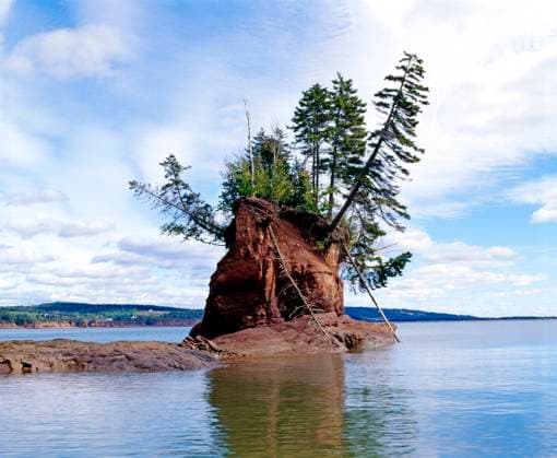 Cape D or, Bay Of Fundy, Nova Scotia Copyright: DavidxChapman 1802665
