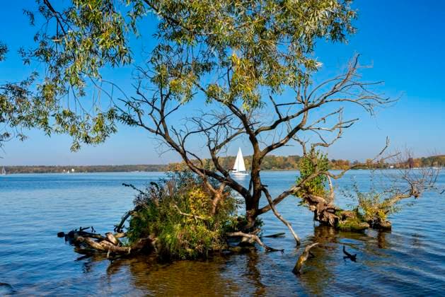  Ein Baum im Wasser am Wannsee in Zehlendorf, Berlin, Deutschland, Europa *** A tree in the water at the Wannsee in Zehlendorf, Berlin, Germany, Europe Copyright: imageBROKER/Karl-HeinzxSpremberg ibxkhs07185878.jpg