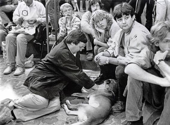 Joschka Fischer, Freundin Claudia Bohm, Offenburg 1985 DEU, Deutschland, Offenburg, 15. Dezember 1985, Joschka Fischer, geb. 1948, hessischer Umweltminister, mit seiner damaligen Freundin und spaeteren dritten Ehefrau (1987-1998) Claudia Bohm, Hund, Delegierte, alternativ, laessig, Minister, Gruene Bundesversammlung in Offenburg, Partei, Parteitag, Die Gruenen, Gruene, Anfaenge, Politik, Politiker, Geschichte, Zeitgeschichte, Bundesrepublik, 1985, 1980er, 80er Jahre, Achtziger Jahre, historisch, *** Joschka Fischer, girlfriend Claudia Bohm, Offenburg 1985 DEU, Germany, Offenburg, 15 December 1985, Joschka Fischer, born 1948, Hessian Minister of Environment, with his then girlfriend and later third wife 1987 1998 Claudia Bohm, dog, delegate,