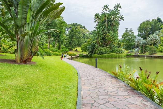 SINGAPORE, SINGAPORE - CIRCA SEPTEMBER, 2017: The Singapore Botanic Gardens, Singapore.