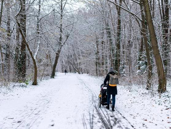  Spaziergängerin im winterlich verschneiten Tiergarten, Berlin, Deutschland, Europa *** Stroller in winter snowy Tiergarten, Berlin, Germany, Europe Copyright: imageBROKER/Karl-HeinzxSpremberg ibxkhs07188630.jpg