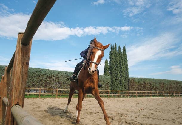 IMAGO Creative: Klub-Sport Young boy horseback riding at the ranch. Kavala, Greece CR_IEID211215-874078-01 ,model released, Symbolfoto