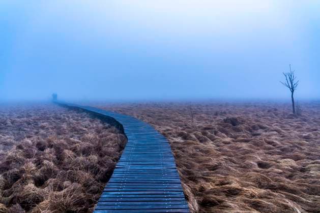 IMAGO Creative, Jahreszeit Herbst auf dem Land News Bilder des Tages Der Naturpark Hohes Venn, im Deutsch-Belgischen Grenzgebiet bei Eupen, Winter, Nebel, Holzbohlenwege nordöstlich des Baraque Michel, Eupen, Belgien Hohes Venn *** The High Fens Nature Park, in the German-Belgian border area near Eupen, winter, fog, boardwalks northeast of the Baraque Michel, Eupen, Belgium High Fens