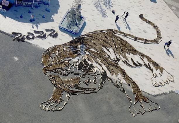 Preparation ahead of Year of Tiger in 2022 Photo shows a giant illustration of a tiger, made from colored Kochia plants and pine cones at Hitachi Seaside Park in Hitachinaka, Ibaraki Prefecture, eastern Japan, on Dec. 20, 2021, ahead of the 2022 Year of Tiger in the Chinese zodiac.  A14AA0001174795P