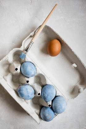 Studio shot of egg carton with blue painted chicken eggs, EVGF03952