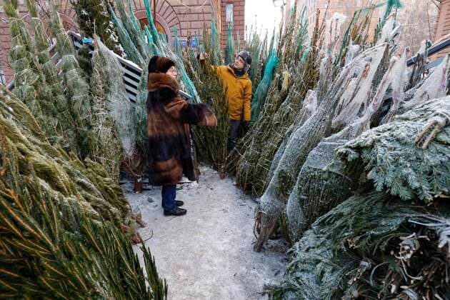 Bilder des Jahres 2021, News 12 Dezember News Bilder des Tages (211229) -- MOSCOW, Dec. 29, 2021 -- People select packed trees for the New Year celebration at a bazaar in Moscow, Russia, Dec. 29, 2021. (Photo by Xinhua) RUSSIA-MOSCOW-NEW YEAR-TREE-BAZAAR AlexanderxZemlianichenkoxJr 