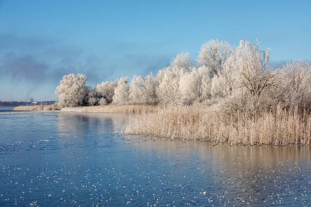 Europa; Deutschland; Brandenburg; Uckermark; Prenzlau: Raureif überzieht Bäume und Sträucher am Ufer des Unteruckersee *** Europe Germany Brandenburg Uckermark Prenzlau Hoarfrost covers trees and bushes at the shore of Unteruckersee
