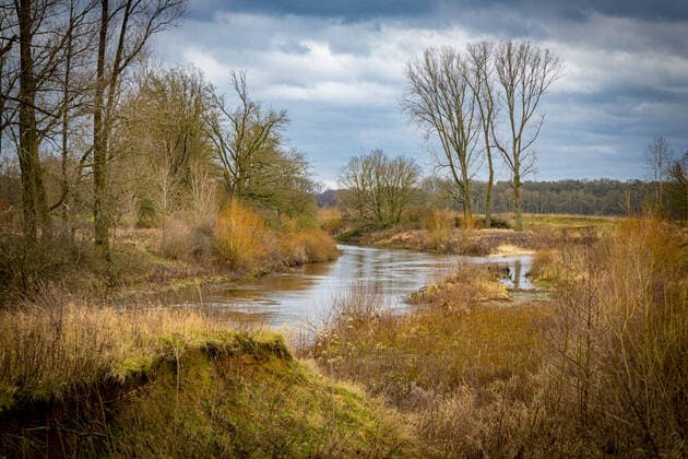 DEU, Deutschland, Nordrhein-Westfalen, Emsdetten, 02.01.2022: Ems-Auen-Schutzkonzept, Renaturierung, Reaktivierung des Ems-Altarms Hembergen. Im Zuge der Begradigung der Ems in den 1930er Jahren wurde zwischen Saerbeck und Hembergen eine etwa zwei Kilometer lange Emsschleife abgetrennt. Der Ems-Altarm wurde wieder mit der Ems verbunden. *** DEU, Germany, North Rhine-Westphalia, Emsdetten, 02 01 2022 Ems floodplain protection concept, renaturation, reactivation of the Ems Altarm Hembergen In the course of the straightening of the Ems in the 1930s, an approximately two-kilometre-long Ems loop was cut off between Saerbeck and Hembergen The Ems Altarm was reconnected with the Ems