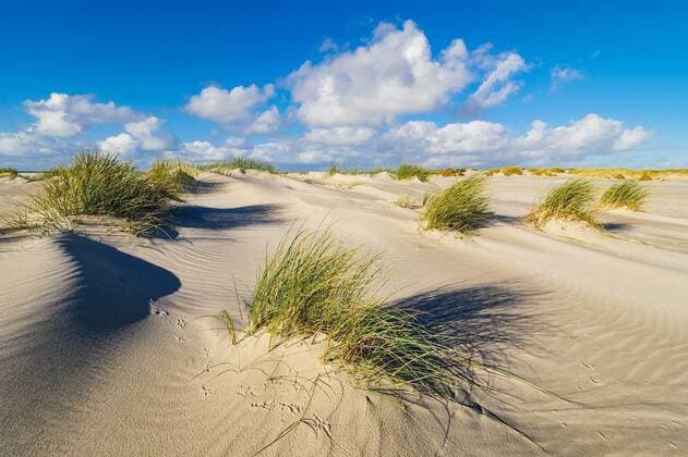  Landscape in the dunes on the island of Amrum, 24.09.2021, Copyright: xRicoKx Panthermedia23378679