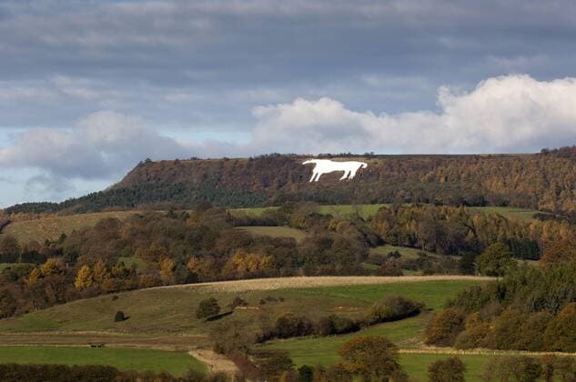 Kilburn White Horse Hügelfigur am Hang, in der Nähe von Kilburn, Vale of York, North Yorkshire, England, November *** Kilburn White Horse hillside figure, near Kilburn, Vale of York, North Yorkshire, England, November Copyright: imageBROKER/WaynexHutchinson iblhoj05618792.jpg 