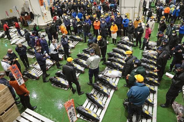 Bilder des Jahres 2022, News 01 Januar News Themen der Woche KW01 News Bilder des Tages Japan, Neujahrs-Tunfisch-Auktion in Tokio New Year tuna auction in Tokyo The year s first auction for tuna is held at Tokyo s Toyosu market on Jan. 5, 2022.  A14AA0001175375P