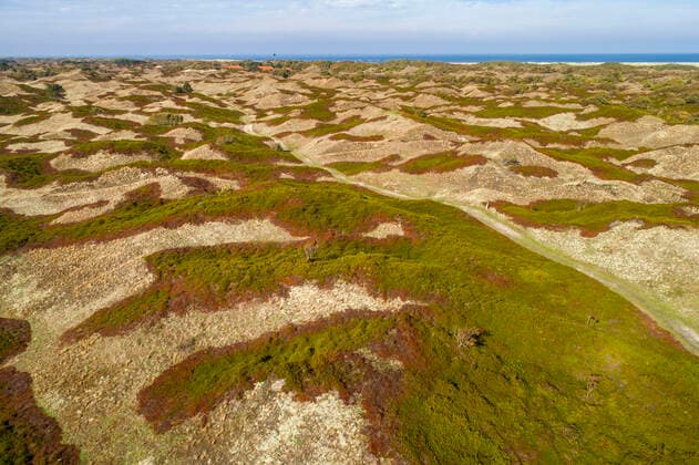 Drohne, Luftaufnahme, Düne, Dünen, Dünenlandschaft, Insel, Spiekeroog, Ostfriesische Inseln, Nordsee, Wattenmeer, Nationalpark, McPWRO *** drone, aerial photography, dune, dunes, dune landscape, island, spiekeroog, east frisian islands, north sea, wadden sea, national park, mcpwro McPWRO