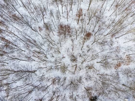 IMAGO Creative: Gesundheit, Stille Kleines Stück Laubwald im Winter Kleines Stück Laubwald im Winter voller Schnee aus der Vogelperspektive, Luftaufnahme per Drohne. Small plot of deciduous forest in winter full of snow from a bird s eye view, aerial view by drone.