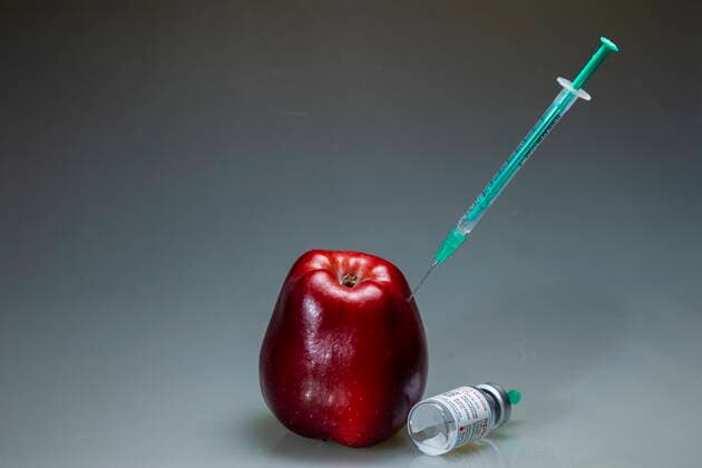 Covidmotiv Symbolbild Impfung eine Coronaspritze steckt in einem roten Apfel. Bannewitz Sachsen GERMANY