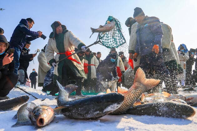 Bilder des Jahres 2022, News 01 Januar News Themen der Woche KW02 BAYINGOLIN, CHINA - JANUARY 15: Tourists watch fish caught by fishermen during winter fishing on frozen Bosten Lake on January 15, 2022 in Bayingolin Mongol Autonomous Prefecture, Xinjiang Uygur Autonomous Region of China.  Copyright: xVCGx CFP111365070125