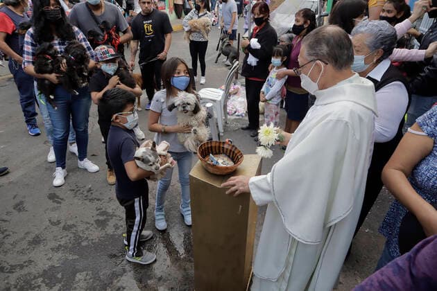 Mexiko, Gläubige lassen ihre Haustiere am Tag des Heiligen Antonius in Coyoacan segnen Animals Blessed In Honour Of St Anthony The Abbot In Mexico A priest blesses two dogs outside a church in Coyoacan, Mexico City, in honour of San Antonio Abad, patron saint of animals, during the COVID-19 health emergency and the epidemiological traffic light in the capital. Mexico City Mexico City Mexico  Copyright: xGerardoxVieyrax originalFilename: vieyra-notitle170117_nplhy.jpg
