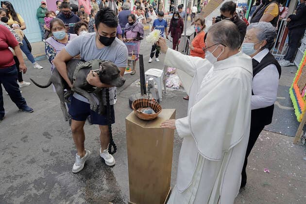 Mexiko, Gläubige lassen ihre Haustiere am Tag des Heiligen Antonius in Coyoacan segnen Animals Blessed In Honour Of St Anthony The Abbot In Mexico A priest blesses a dog outside a church in Coyoacan, Mexico City, in honour of San Antonio Abad, patron saint of animals, during the COVID-19 health emergency and the epidemiological traffic light in the capital. Mexico City Mexico City Mexico  Copyright: xGerardoxVieyrax originalFilename: vieyra-notitle170117_npirL.jpg