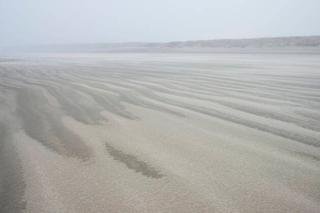 IMAGO Creative: 2022 Favoriten  Creative Highlights World Nebel und Flugsand am Strand, Langeoog, Niedersachsen, Deutschland, Europa *** Fog and flying sand on the beach, Langeoog, Lower Saxony, Germany, Europe Copyright: imageBROKER/ErhardxNerger ibxenh07237706.jpg