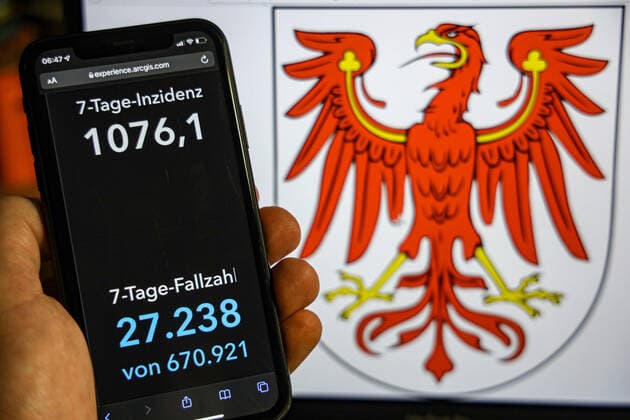 Coronavirus in Deutschland - Covid-19-Dashboard des Robert Koch-Institut DEU, Deutschland, Brandenburg 23.01.2022: Die 7-Tage-Inzidenz für das Bundesland (Fälle letzte 7 Tage 100.000 EW) wird auf einem iPhone angezeigt, im Hintergrund das Landeswappen