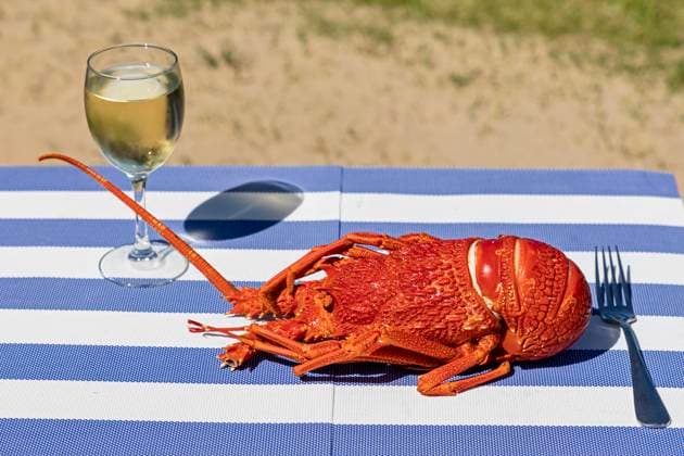 Lobster and white wine at striped table on sunny day, FOF12423