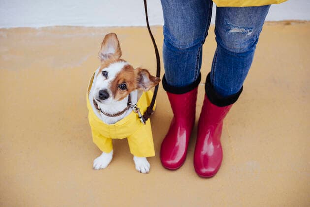 Dog sitting by woman wearing red boots on footpath model released property released, EBBF05139