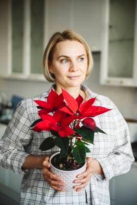 Thoughtful woman holding poinsettia plant at home model released property released, EYAF01855