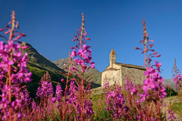 Pink Willowherbs with old chapel in background at Vanoise National Park, France, ANSF00189