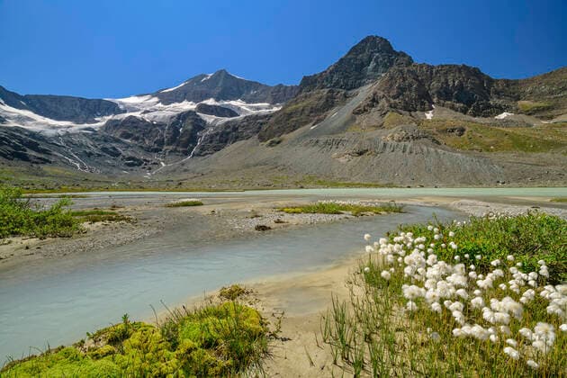 Creative Highlights World Cotton grass plants near Lac des Evettes lake at winter, Vanoise National Park, France, ANSF00191