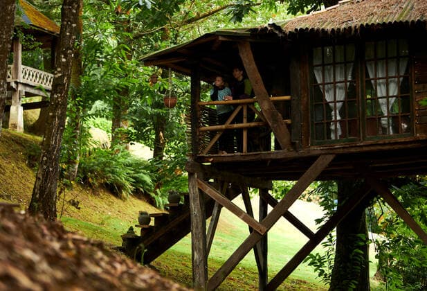 IMAGO Creative, Leben im Bamhaus Distant mother and daughter standing in wooden tree house located amidst green trees in countryside of Spain on summer day, Model released, Property released RamonLopez_TreeHouseCountryside_8.jpg Copyright: xRamonxLopezx MR