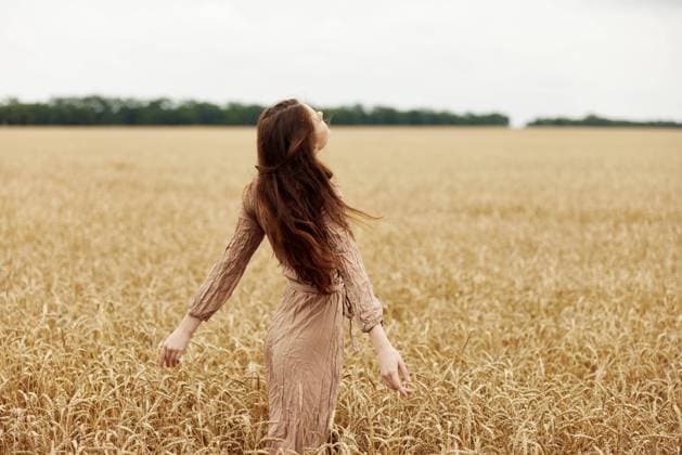 IMAGO Creative, Jahreszeit Herbst auf dem Land female hand Wheat field autumn season concept female hand Wheat field autumn season concept. High quality photo Copyright: xx 43749792