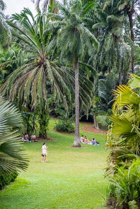 Singapore Botanic Gardens, Singapore, Southeast Asia, Asia Copyright: KatexHockenhull 1341-327