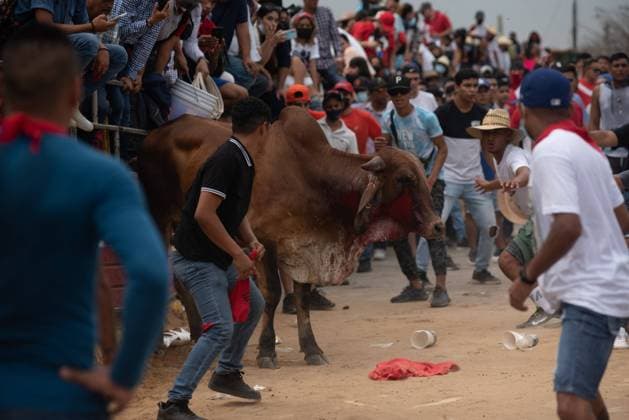 Mexiko, Fest zu Ehren der Virgen de la Candelaria wird mit Stierhatz begangen February 1, 2022: Thousands of residents gather to celebrate Candelaria with the traditional bullfight. In this festivity, the bulls are usually killed and injured despite the warnings of the authorities. This party was not celebrated for a year due to the Covid 19 pandemic. - ZUMAqp1_ 20220201_zip_qp1_016 Copyright: xHectorxAdolfoxQuintanarxPerezx