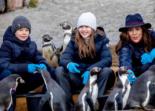 Bilder des Jahres 2022, Entertainment 02 Februar Entertainment Themen der Woche KW05 Entertainment Bilder des Tages 02-02-2022 Zoo Princess Mary and Prince Vincent and Princess Josephine visited the Copenhagen Zoo and the Mary s Australian Garden in Stockholm. Â  Copyright: xPPEx
