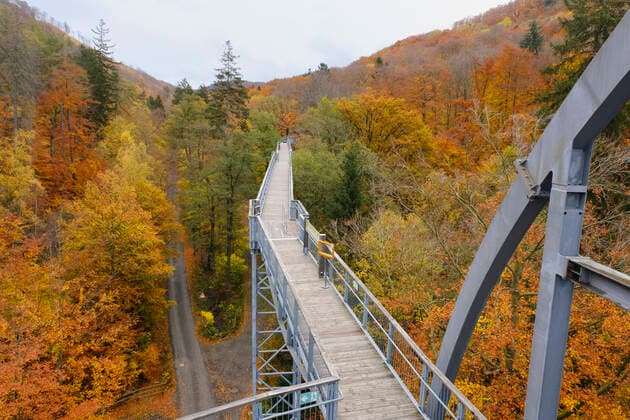 Baumwipfelpfad, Bad Harzburg, Harz, Niedersachsen, Deutschland, Europa *** Tree top walk, Bad Harzburg, Harz, Lower Saxony, Germany, Europe 1100402186