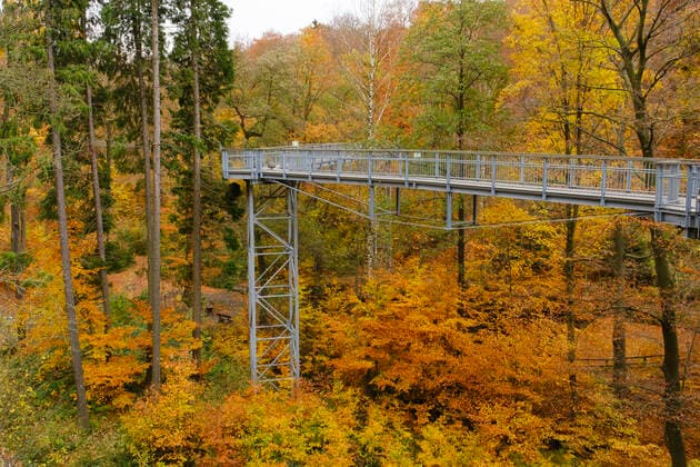 Baumwipfelpfad, Bad Harzburg, Harz, Niedersachsen, Deutschland, Europa *** Tree top walk, Bad Harzburg, Harz, Lower Saxony, Germany, Europe 1100402187