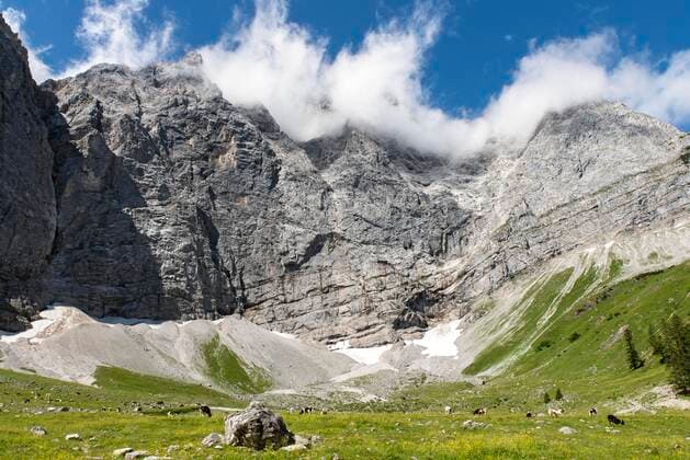 Creative Highlights World Kühe im Almgebiet Enger Grund, dahinter Grubenkarspitze, Karwendel-Gebirge, Tirol, Österreich, Europa Copyright: imageBROKER/AdelheidxNothegger ibxano07236295.jpg
