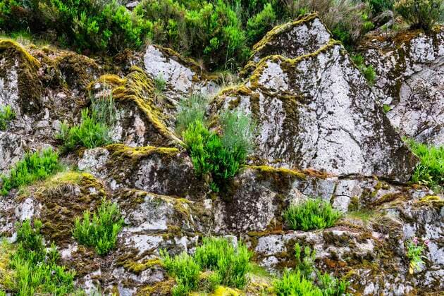 Creative Highlights World Vegetation und Felsformationen, Serra da Estrela, Portugal, Europa *** Vegetation and rock formations, Serra da Estrela, Portugal, Europe Copyright: imageBROKER/G&MxTherin-Weise ibxgab08145742.jpg