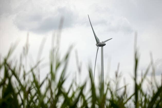 Ein Windrad hinter einem Maisfeld in Luckau, 27.07.2021. Luckau Deutschland *** A wind turbine behind a corn field in Luckau, 27 07 2021 Luckau Germany Copyright: xJaninexSchmitz photothek.dex