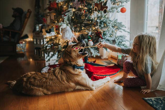 Young girl playing with dog in front of Christmas tree with wand Nashville, Tennessee, United States CR_CODA22012722-911665-01 ,model released, Symbolfoto