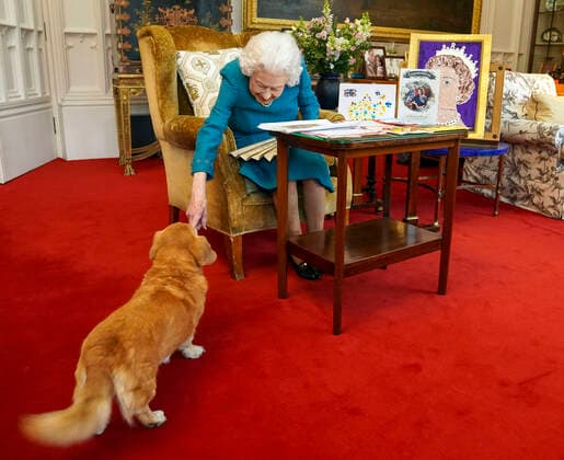 . 04 02 2022. Windsor, United Kingdom. Queen Elizabeth II is joined by one of her dogs, a Dorgi called Candy, as she views a display of memorabilia and cards from her Golden and Platinum Jubilees at Windsor Castle, as she marks her 70th year on the throne on Sunday 6th February.  xPoolx xi-Imagesx IIM-23074-0002